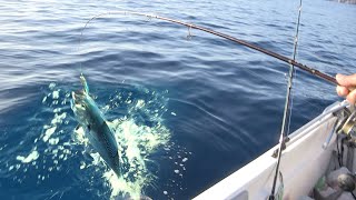 Pecanje na moru u Grčkoj  Dubinsko pecanje iz čamca i pecanje na troling  Fishing in Greece [upl. by Jessie]