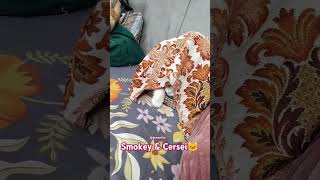 Pardy mn rhny docats version catlover animals lovely trendingshorts viralvideos [upl. by Azalea344]