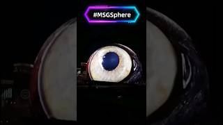 MSG Sphere Las Vegas A Cosmic Concert Experience MSGSphere [upl. by Eiuqcaj]