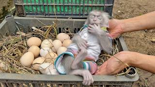 Lucky fell asleep in the garden causing mom to panic while searching for her [upl. by Trocki]