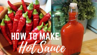 How to Make Homemade Hot Sauce  Franks Red Hot Copycat [upl. by Sregor]