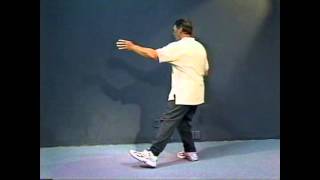 Yang Style Tai Chi Long Form Special Lesson  The Kua [upl. by Gustave]