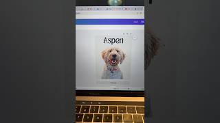 Create a pet portrait on Canva Canva tutorial [upl. by Heinrick]