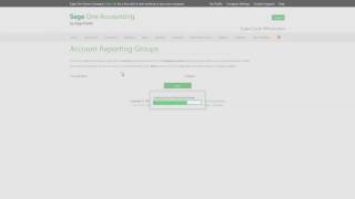 Sage Business Cloud  Accounting Account Reporting Groups [upl. by Urian338]