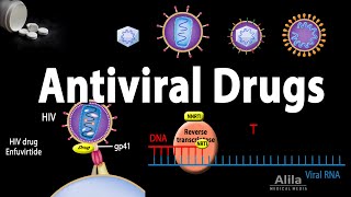 Antiviral Drugs Mechanisms of Action Animation [upl. by Yoko]