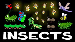 INSECTS  Bugs for kids  Videos for Toddlers  Learn Insect Names  Picture Show [upl. by Sterne628]