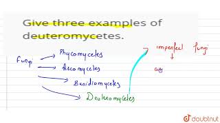 Give three examples of deuteromycetes [upl. by Satterfield]