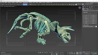 ANTM 0057 Triceratops Horridus Marsh [upl. by Wat]