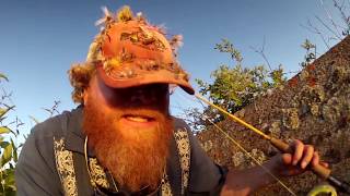 The Beard Chronicles  Gear Review  Douglas Sky 9ft 4wt 4904 [upl. by Dhu841]