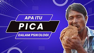 PICA‼️Gangguan Makan dalam Psikologi [upl. by Grier]