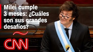 Javier Milei cumple 3 meses como presidente de Argentina ¿qué desafíos tiene por delante [upl. by Calvina]