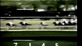 Angle Light  1973 Wood Memorial Stakes [upl. by Htebirol]