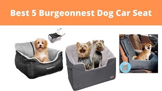 Best 5 Burgeon Nest Dog Car Seat Reviews  Burgeonnest [upl. by Llewxam120]