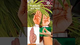 Mudras Uric Acid Soul Sutra Yoga Class Zoom Online Class Offline Vaishali DelhiNCR 01204265467 [upl. by Edgerton]