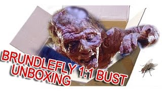 Brundlefy THE FLY 1986 life size bust UNBOXING [upl. by Eyla]