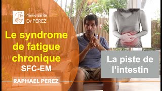 Syndrome de fatigue chronique  SFCEM  le lien avec lintestin [upl. by Fennelly]