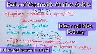 Role of aromatic amino acidsTyrosinePhenylalaninetryptophanPlant metabolismBsc and MSc botany [upl. by Dunc]