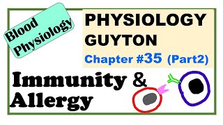 Ch35 Part2 Physiology Guyton  Immunity amp Allergy Acquired Immunity  LymphocytesBlood Physiology [upl. by Ellehcer]