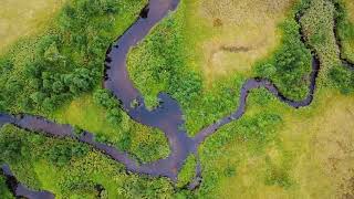 Norway Senja Svandalen Naturreservat drone dji [upl. by Norvell]