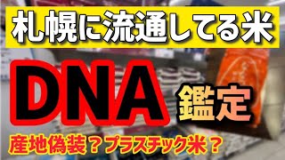 スーパーのお米をDNA鑑定！（札幌） [upl. by Icam30]