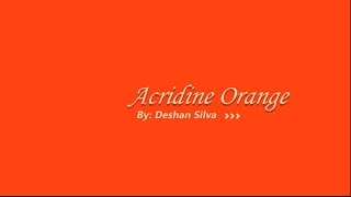 Acridine Orange  3D Model and More [upl. by Araec]