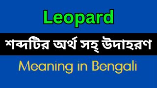 Leopard Meaning in BengaliLeopard Mane Ki Leopard Explain in Bengali [upl. by Irallih436]