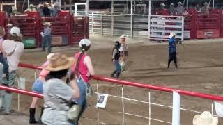 bandera rodeo july 5 2024 bull riding [upl. by Ahtnicaj599]