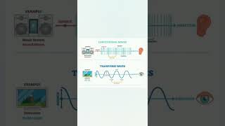 longitudinal waves explained [upl. by Alrep724]