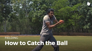 How to Catch the Ball  Cricket [upl. by Negyam]