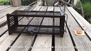 How to use the RatsFatz Humane Live Rat Trap Cage to catch mouse [upl. by Ayahsey]