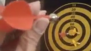 Lets play Magnetic dart board [upl. by Wertheimer612]