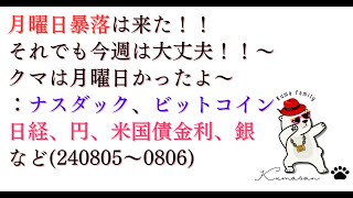 月曜日暴落は来た！！それでも今週は大丈夫！！～クマは月曜日かったよ～：ナスダック、ビットコイン、日経、円、米国債金利、銀など240805～0806 [upl. by Auqenes]