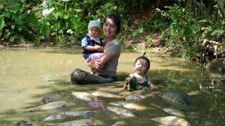 How to harvest giant fish ponds to sell at the market  cook with your children [upl. by Heuser]