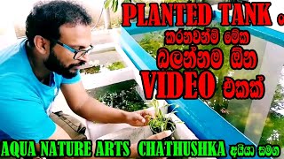 Amazing Aqua plants farm in sri lanka Aqua plants ගැන සිංහලෙන් හැමදේම බලන්නම ඕන video එකක් farm [upl. by Clare]