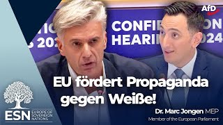 EU fördert Propaganda gegen Weiße [upl. by Nuahsyd]