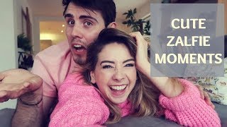 Cute Zalfie moments [upl. by Florine]