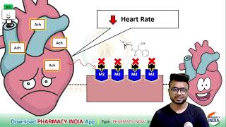 MECHANISM ACTION OF ATROPINE  PHARMACOLOGY [upl. by Secunda]