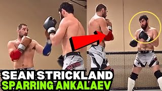 Sean Strickland SPARRING Magomed Ankalaev FULL VIDEO [upl. by Ynamad583]