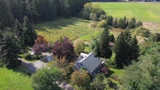 Cowichan Valley winery closes after 20 years [upl. by Aeiram204]