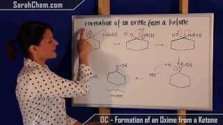 Formation of an Oxime from a Ketone [upl. by Oralla777]