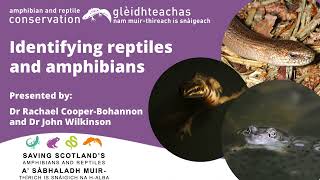 Identifying reptiles and amphibians [upl. by Sulrac666]