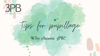 Pupillage at 3PB Barristers  why choose 3PB [upl. by Diantha752]