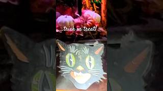 Knock Knock Trick or Treat Happy Halloween Scaredy Cats Shorts [upl. by Marceau]