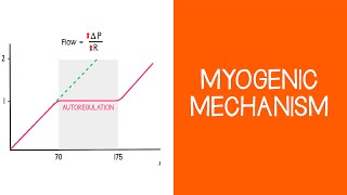 27 Renal Myogenic Mechanism [upl. by Natal]