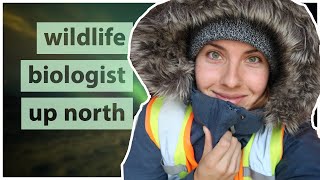 What do you need to wear amp carry as a BIOLOGIST Northern climate [upl. by Elyag]