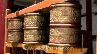 Buddhist prayer wheels spinning in Leh Ladakh [upl. by Cyndia]