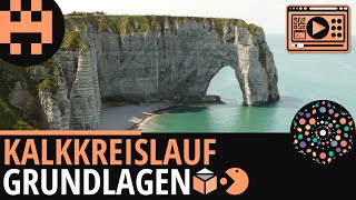 Kalkkreislauf Grundlagen │Chemie Lernvideo Learning Level Up [upl. by Storfer]