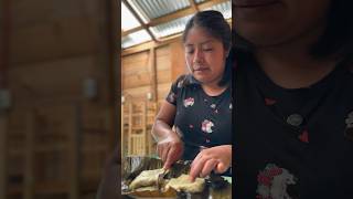 ¿Cuál prefieren tamales oaxaca tradiciones [upl. by Einahteb]