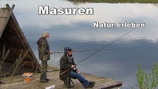 Masuren  Natur erleben  Reise Tier und Naturfilm [upl. by Elwaine]