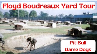 Floyd Boudreaux Yard Tour  American Pit Bull Terrier Kennel [upl. by Petras]